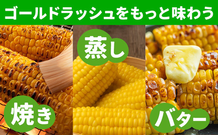 【ふるなびWEEK対象】【先行予約】とうもろこし約8kg老沼 利治《2026年6月中旬-7月中旬頃出荷》ゴールドラッシュFN-Limited-PR