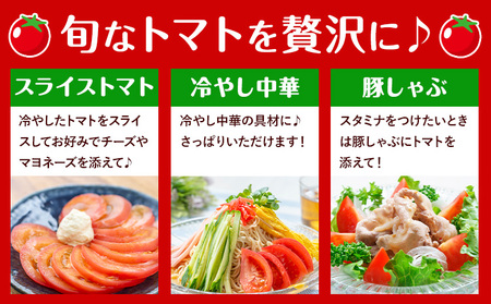 【先行予約】トマト 約2kg 小箱 栃木県 野木町産 矢畑むらづくり組合 《10月上旬-6月下旬頃出荷》栃木県 野木町 トマト 野菜 新鮮