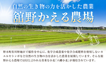 うどん かえるうどん 細麺 太麺 2種 4袋 野木町産小麦100％《30日以内に出荷予定(土日祝除く)》 宝咲屋 麺類 麺 栃木県 野木町