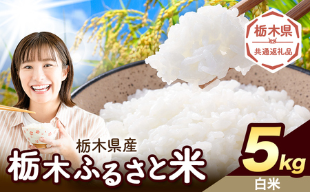 栃木ふるさと米 白米 5kg《1月中旬-2月末頃出荷》おこめ【栃木県共通返礼品】