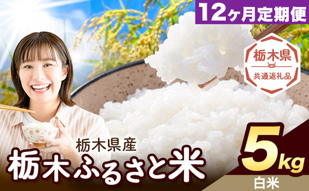 【12ヶ月定期便】米 栃木 ふるさと米 白米 5kg《定期は翌月より出荷開始》栃木県 野木町 米 白米 精米 国産 お米 おこめ お弁当 おにぎり【栃木県共通返礼品】