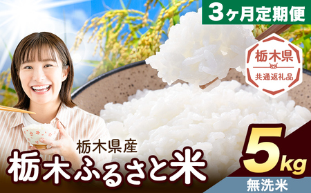 【3ヶ月定期便】米 栃木 ふるさと米 無洗米 5kg《定期は翌月より出荷開始》栃木県 野木町 米 白米 精米 国産 お米 おこめ お弁当 おにぎり【栃木県共通返礼品】
