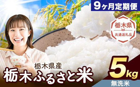 【9ヶ月定期便】米 栃木 ふるさと米 無洗米 5kg《定期は翌月より出荷開始》栃木県 野木町 米 白米 精米 国産 お米 おこめ お弁当 おにぎり【栃木県共通返礼品】