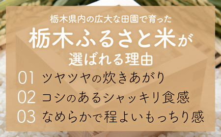 【9ヶ月定期便】米 栃木 ふるさと米 無洗米 5kg《定期は翌月より出荷開始》栃木県 野木町 米 白米 精米 国産 お米 おこめ お弁当 おにぎり【栃木県共通返礼品】