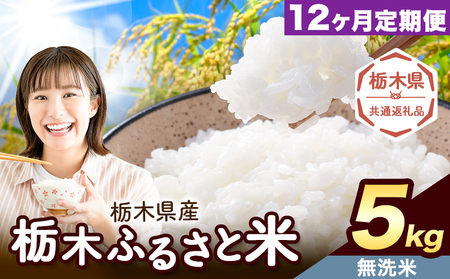 【12ヶ月定期便】米 栃木 ふるさと米 無洗米 5kg《定期は翌月より出荷開始》栃木県 野木町 米 白米 精米 国産 お米 おこめ お弁当 おにぎり【栃木県共通返礼品】