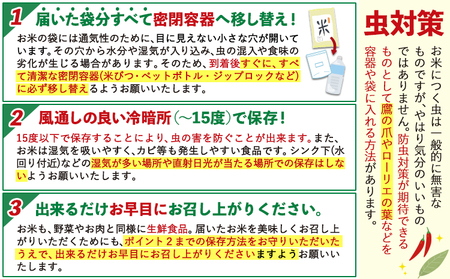 【12ヶ月定期便】米 栃木 ふるさと米 無洗米 5kg《定期は翌月より出荷開始》栃木県 野木町 米 白米 精米 国産 お米 おこめ お弁当 おにぎり【栃木県共通返礼品】