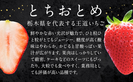 栃木いちごとちおとめ2パック《1月中旬-5月末頃出荷》 【配送不可地域】沖縄・離島