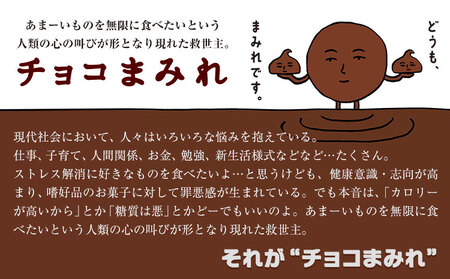 不二家チョコまみれリッチサンド カントリーマアム3箱 15個 (株)不二家《9月中旬-3月上旬頃出荷》fujiyaペコちゃん個包装限定品お菓子