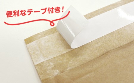 配送用封筒プチプチ入【ネコポスサイズ】セフティライト-3N（30枚/ケース）