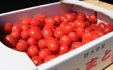 T05 栃木県野木町産ミニトマト小箱（約1.5kg）×2セット