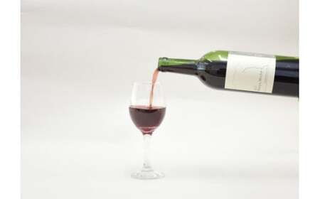 塩谷メルロー 2022 赤ワイン 750ml 1本