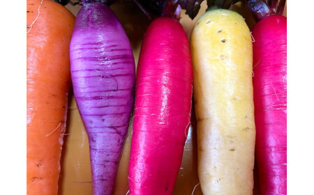 旬の野菜セット 5種類以上お届け｜季節の野菜 詰合せ 塩谷町 栃木県　※北海道・沖縄・離島への配送不可