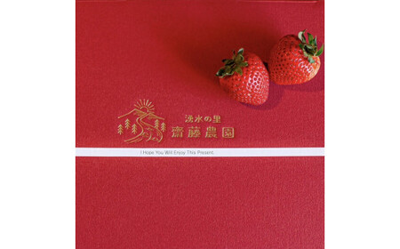《贈答用》とちあいか270g 湧水の紅 化粧箱|手作り 厳選 農家 特産品 新鮮 フレッシュ ストロベリー 苺 イチゴ 栃木県 塩谷町 ※2025年12月上旬~2026年4月下旬頃に順次発送予定 ※北海道・沖縄・離島への配送不可
