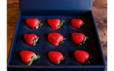 《贈答用》とちあいか270g 湧水の紅 化粧箱|手作り 厳選 農家 特産品 新鮮 フレッシュ ストロベリー 苺 イチゴ 栃木県 塩谷町 ※2025年12月上旬~2026年4月下旬頃に順次発送予定 ※北海道・沖縄・離島への配送不可
