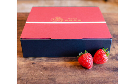 《贈答用》とちあいか270g 湧水の紅 化粧箱|手作り 厳選 農家 特産品 新鮮 フレッシュ ストロベリー 苺 イチゴ 栃木県 塩谷町 ※2025年12月上旬~2026年4月下旬頃に順次発送予定 ※北海道・沖縄・離島への配送不可