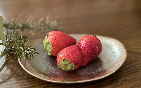 《贈答用》とちあいか270g 湧水の紅 化粧箱|手作り 厳選 農家 特産品 新鮮 フレッシュ ストロベリー 苺 イチゴ 栃木県 塩谷町 ※2025年12月上旬~2026年4月下旬頃に順次発送予定 ※北海道・沖縄・離島への配送不可