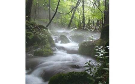 栃木県塩谷町で製造　ばんのう酵母くん(23ml×6本)　1箱