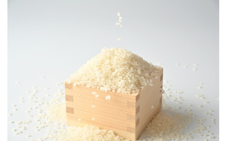 ≪先行受付≫有坂ファームの令和7年産コシヒカリ 精米10kg