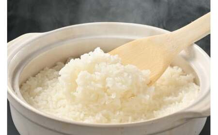 ≪先行受付≫有坂ファームの令和7年産コシヒカリ 精米20kg(10kg×2)