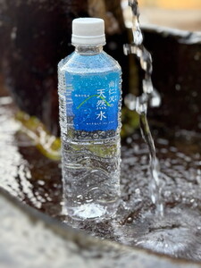 【5ヶ月定期便】\名水百選認定/尚仁沢の天然水 500ml×24本|塩谷町 栃木県 軟水 湧水 天然水 ペットボトル