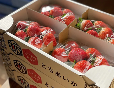 とちあいか（300g×4パック 計1.2kg）風袋入り ｜ 手作り 厳選 農家 特産品 新鮮 フレッシュ ストロベリー 苺 イチゴ 栃木県 塩谷町 ※2025年12月上旬～2026年4月下旬頃に順次発送予定 ※北海道・沖縄・離島への配送不可