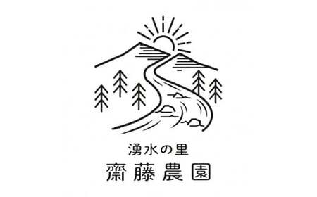 とちあいか（300g×4パック 計1.2kg）風袋入り ｜ 手作り 厳選 農家 特産品 新鮮 フレッシュ ストロベリー 苺 イチゴ 栃木県 塩谷町 ※2025年12月上旬～2026年4月下旬頃に順次発送予定 ※北海道・沖縄・離島への配送不可