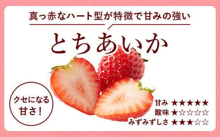 とちあいか600g&とちおとめ600g 食べ比べセット 計1.2kg 風袋入り | 人気 2品種 食べ比べ 手作り 厳選 農家 特産品 新鮮 フレッシュ ストロベリー 苺 塩谷町 ※2025年12月上旬~2026年4月下旬頃に順次発送予定 ※北海道・沖縄・離島への配送不可