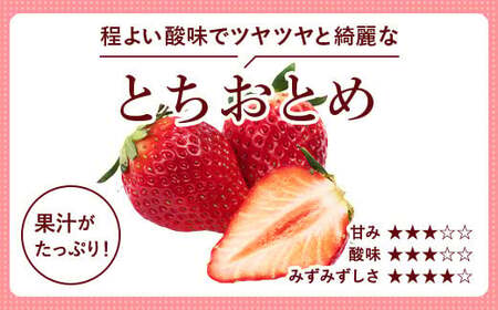 とちあいか600g&とちおとめ600g 食べ比べセット 計1.2kg 風袋入り | 人気 2品種 食べ比べ 手作り 厳選 農家 特産品 新鮮 フレッシュ ストロベリー 苺 塩谷町 ※2025年12月上旬~2026年4月下旬頃に順次発送予定 ※北海道・沖縄・離島への配送不可