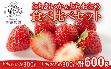とちあいか約300g＆とちおとめ約300g　計約600g ※北海道・沖縄・離島への配送不可 ※2025年12月上旬～2026年4月下旬頃に順次発送予定