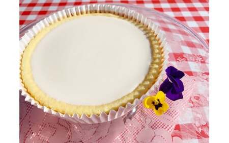 「風だより」の手作りチーズケーキ6号 スイーツ デザート 洋菓子 ケーキ 手作り 冷蔵 栃木県 塩谷町※離島への配送不可