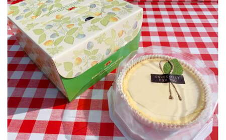 「風だより」の手作りチーズケーキ6号 スイーツ デザート 洋菓子 ケーキ 手作り 冷蔵 栃木県 塩谷町※離島への配送不可