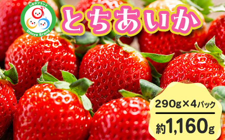 【先行予約】とちあいか 290g×4パック 計1160g|いちご イチゴ 苺 贈答用 ギフト 風袋入り 平詰め ハンモックトレー 果物 くだもの フルーツ 数量限定 しおやブランド いちごソムリエ 栃木県 塩谷町 ※2026年1月中旬~3月下旬頃に順次発送予定 ※離島への配送不可