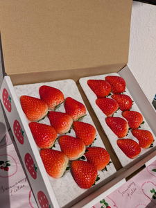 【先行予約】とちあいか 290g×4パック 計1160g|いちご イチゴ 苺 贈答用 ギフト 風袋入り 平詰め ハンモックトレー 果物 くだもの フルーツ 数量限定 しおやブランド いちごソムリエ 栃木県 塩谷町 ※2026年1月中旬~3月下旬頃に順次発送予定 ※離島への配送不可