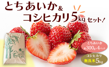 とちあいか（約300g×4パック）＆令和7年産無洗米コシヒカリ5kgセット！｜いちご 米 新米 5キロ 尚仁沢湧水 栃木県 塩谷町 ※2025年12月中旬～2026年4月下旬頃に順次発送予定 ※北海道・沖縄・離島への配送不可