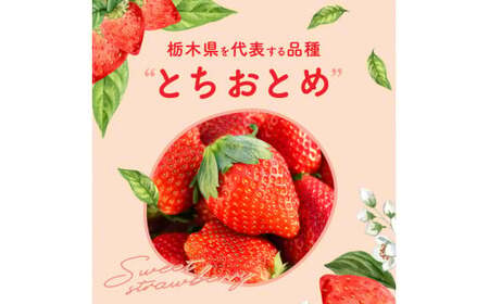 栃木県高根沢町産とちおとめ 260g×4パック ※北海道・沖縄・離島への配送不可 ※2026年1月中旬~3月下旬頃に順次発送予定