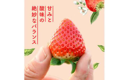 栃木県高根沢町産とちおとめ 260g×4パック ※北海道・沖縄・離島への配送不可 ※2026年1月中旬~3月下旬頃に順次発送予定