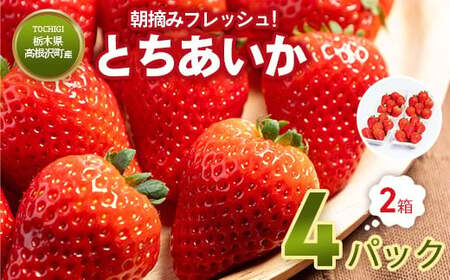 とちあいか4パック2箱 ※2026年1月上旬~4月下旬頃に順次発送予定 ※北海道・沖縄・離島への配送不可