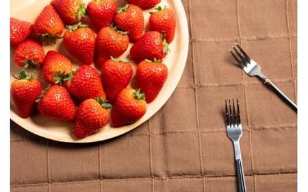 とちあいか4パック2箱 ※2026年1月上旬~4月下旬頃に順次発送予定 ※北海道・沖縄・離島への配送不可