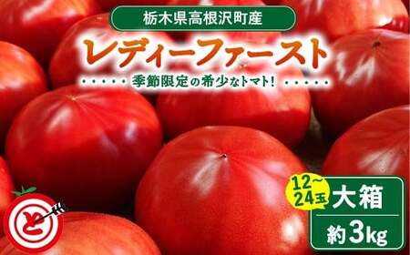 高根沢町産トマト「レディーファースト」 大箱(約3kg 12~24玉)|とまと 季節限定 希少 厳選 産地直送 新鮮 ※北海道・沖縄・離島への配送不可 ※2026年1月上旬~3月下旬頃に順次発送予定