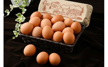 高根沢町産 加藤養鶏場の赤たまご M~Lサイズ 27個+割れ補償3個(10個入り×3パック) 計30個 | 卵 玉子 たまご 赤卵 赤たまご 生卵 国産 濃厚 鶏卵 コク 旨み※北海道・沖縄・離島への配送不可