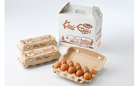 高根沢町産 加藤養鶏場の赤たまご M~Lサイズ 27個+割れ補償3個(10個入り×3パック) 計30個 | 卵 玉子 たまご 赤卵 赤たまご 生卵 国産 濃厚 鶏卵 コク 旨み※北海道・沖縄・離島への配送不可