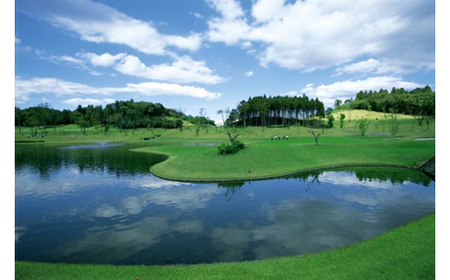 宇都宮ガーデンゴルフクラブ 全日ゴルフプレー券(昼食付・セルフ) 1名様分 ゴルフチケット ゴルフ利用券 GOLF golf