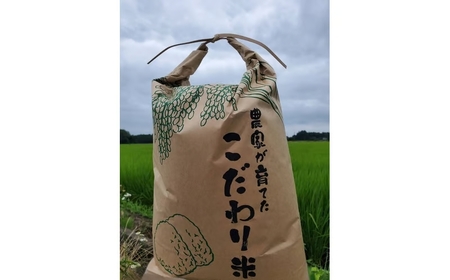 高根沢町産とちぎの星（精米）10kg ※離島への配送不可 ※2026年1月中旬～6月中旬頃に順次発送予定