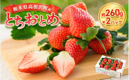 栃木県高根沢町産とちおとめ 260g×2パック ※北海道・沖縄・離島への配送不可 ※2026年1月中旬～3月下旬頃に順次発送予定 | 栃木県いちご 栃木県苺 高根沢町いちご 高根沢町苺 とちおとめいちご とちおとめ苺 いちご イチゴ 苺 ストロベリー 高根沢町産いちご 高根沢町産苺 260gいちご 260g苺 2パックいちご 2パック苺 栃木県産いちご 栃木県産苺 とちおとめイチゴ トチオトメ