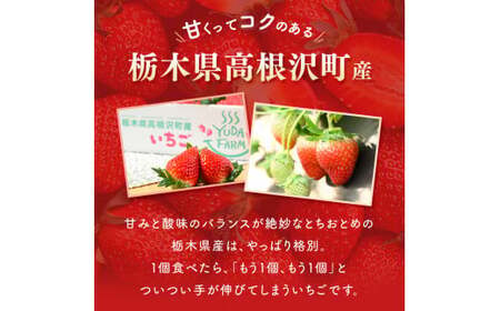 栃木県高根沢町産とちおとめ 260g×2パック ※北海道・沖縄・離島への配送不可 ※2026年1月中旬～3月下旬頃に順次発送予定 | 栃木県いちご 栃木県苺 高根沢町いちご 高根沢町苺 とちおとめいちご とちおとめ苺 いちご イチゴ 苺 ストロベリー 高根沢町産いちご 高根沢町産苺 260gいちご 260g苺 2パックいちご 2パック苺 栃木県産いちご 栃木県産苺 とちおとめイチゴ トチオトメ