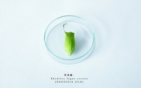 PALELINO ロディニアシルクスキンケア基本セット(化粧水150mL＋美容液30mL) 化粧水 美容液 保湿 うるおい スキンケア 化粧品 コスメ ふるさと納税 栃木県 那須町〔P-119〕