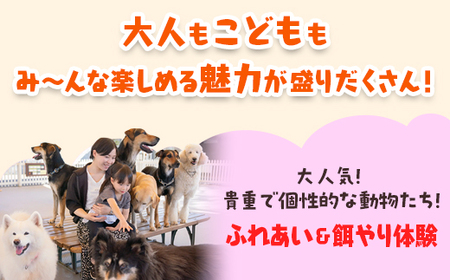 那須どうぶつ王国 ペアご招待券 2名 ｜ 動物 動物園チケット 動物園 どうぶつえん チケット 券 入場券 入園券 観光 ファミリー 家族 お出かけ 旅行 栃木県 那須町〔P-153〕