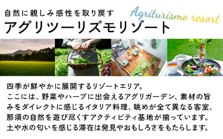 星野リゾート リゾナーレ那須 宿泊ギフト券（450,000円分）｜旅行 チケット 宿泊券 旅行券