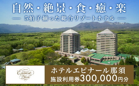 ホテルエピナール那須施設利用券(300,000円分) ｜ 温泉 露天風呂 宿泊 旅行 チケット 宿泊券 宿泊ギフト券 利用券 観光 リゾートホテル アクティビティ 栃木県 那須町 ホテル エピナール エピナール那須 〔P-178〕
