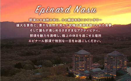 ホテルエピナール那須施設利用券(300,000円分) ｜ 温泉 露天風呂 宿泊 旅行 チケット 宿泊券 宿泊ギフト券 利用券 観光 リゾートホテル アクティビティ 栃木県 那須町 ホテル エピナール エピナール那須 〔P-178〕